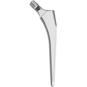 Cemented Hip Stems 1